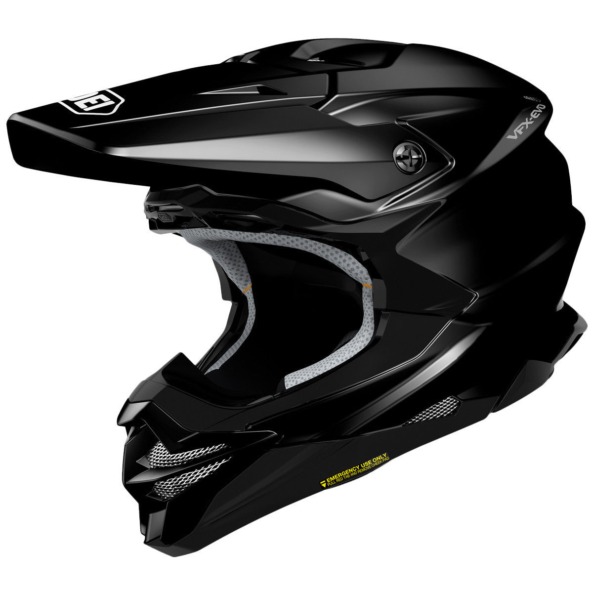 Shoei VFX-EVO Helmet - Team Motorcycle